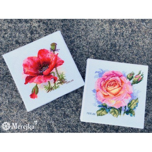 Merejka - Rose