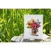 Merejka - Pansies and Butterfly