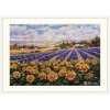 Merejka - Fields of Lavender and Sun
