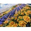 Merejka - Fields of Lavender and Sun