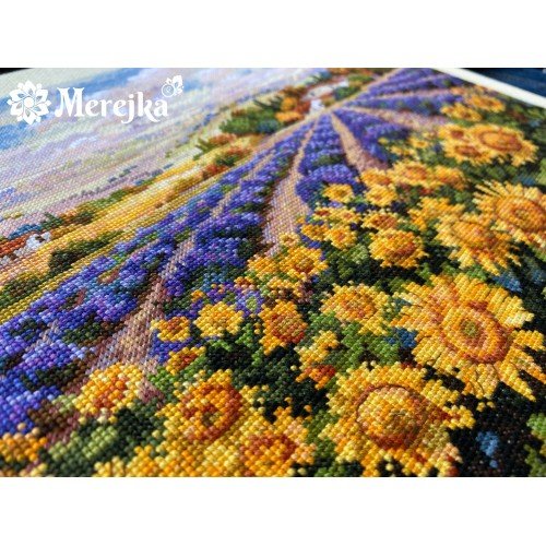 Merejka - Fields of Lavender and Sun