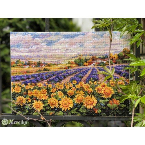 Merejka - Fields of Lavender and Sun