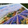 Merejka - Fields of Lavender and Sun