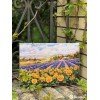 Merejka - Fields of Lavender and Sun