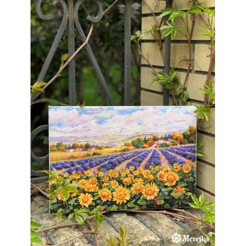 Merejka - Fields of Lavender and Sun
