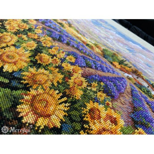 Merejka - Fields of Lavender and Sun