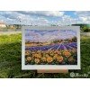 Merejka - Fields of Lavender and Sun
