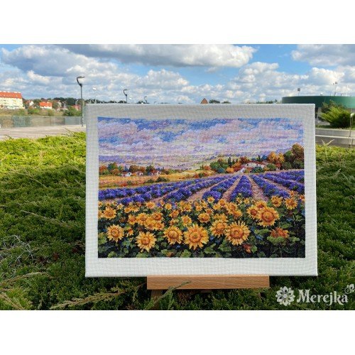 Merejka - Fields of Lavender and Sun