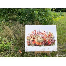 Merejka - Rhapsody in Red