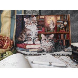 Merejka - Romeo & Juliet