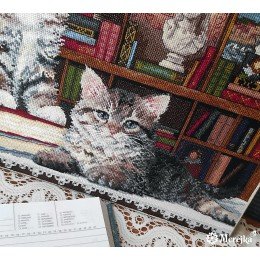 Merejka - Romeo & Juliet