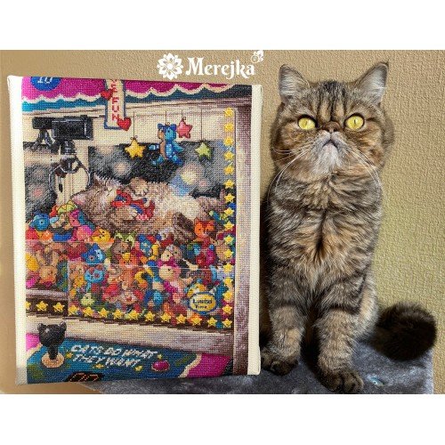 Merejka - Cats Do What They Want