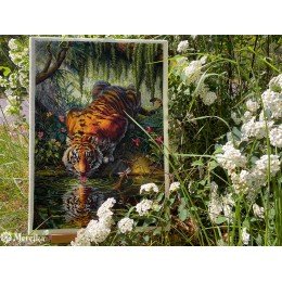 Merejka - Aurora’s Garden