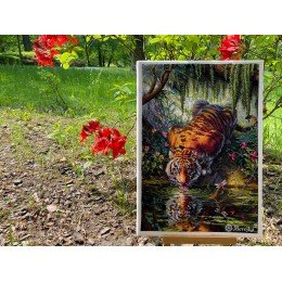 Merejka - Aurora’s Garden