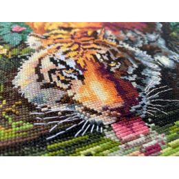 Merejka - Aurora’s Garden