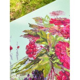 Merejka - September Colour