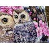 Merejka - Two Owls in Spring Blossom
