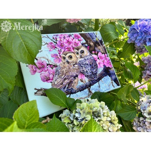 Merejka - Two Owls in Spring Blossom