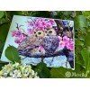 Merejka - Two Owls in Spring Blossom