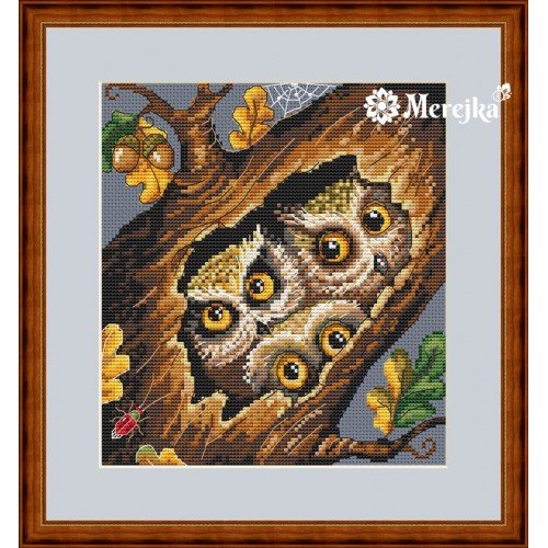 Merejka - Owls