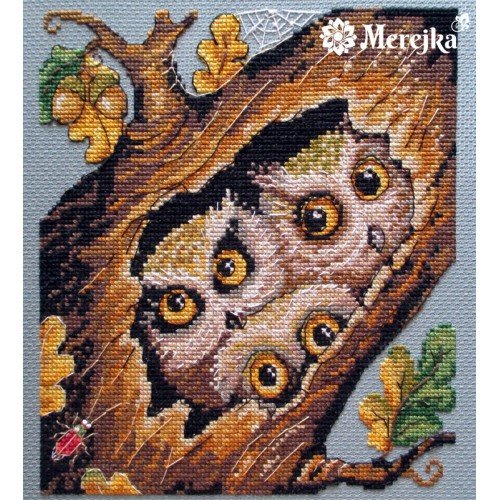 Merejka - Owls