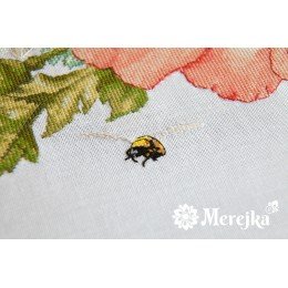 Merejka - Poppies