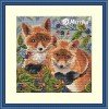 Merejka - Foxes