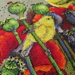 Merejka - Summertime