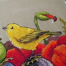 Merejka - Summertime