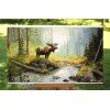 Merejka - Woodland Morning