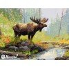 Merejka - Woodland Morning