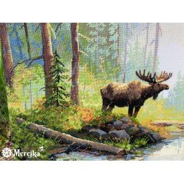 Merejka - Woodland Morning