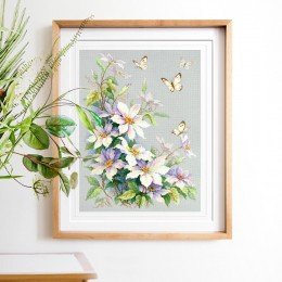 Magic Needle - Clematis