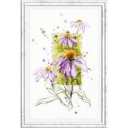 Magic Needle - Echinacea