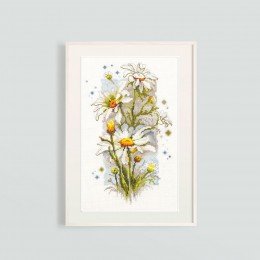 Magic Needle - Margaritas blancas