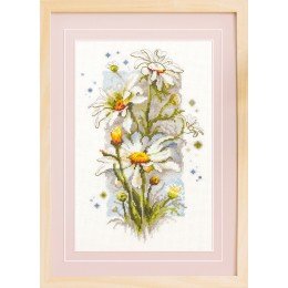 Magic Needle - Margaritas blancas