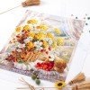 Magic Needle - Sabor a miel