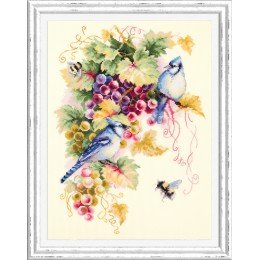 Magic Needle - Arrendajo azul y uvas