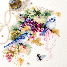 Magic Needle - Arrendajo azul y uvas