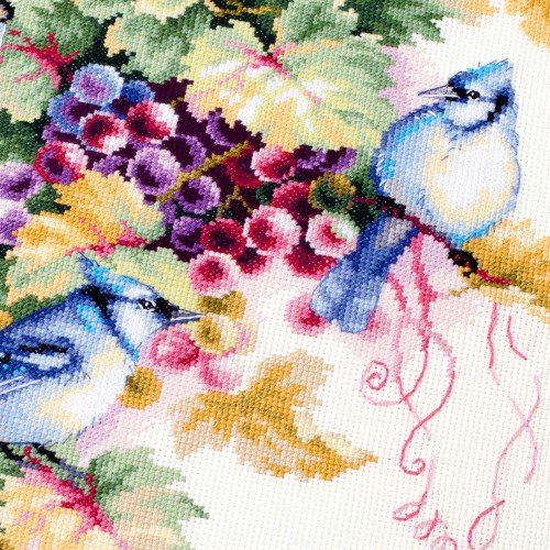 Magic Needle - Arrendajo azul y uvas