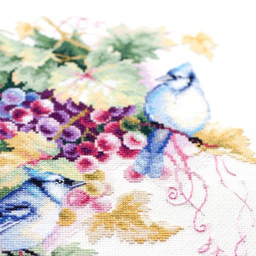 Magic Needle - Arrendajo azul y uvas