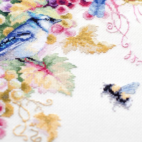 Magic Needle - Arrendajo azul y uvas