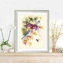 Magic Needle - Arrendajo azul y uvas