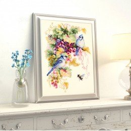 Magic Needle - Arrendajo azul y uvas