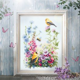 Magic Needle - Summer song