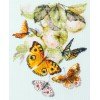 Magic Needle - Mariposas y manzanas