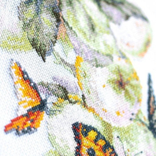 Magic Needle - Mariposas y manzanas