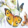 Magic Needle - Mariposas y manzanas