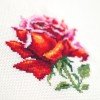 Magic Needle - Rosa Roja