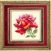 Magic Needle - Rosa Roja